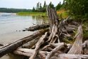 drift wood